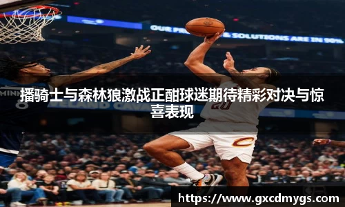 雷竞技Raybet播骑士与森林狼激战正酣球迷期待精彩对决与惊喜表现